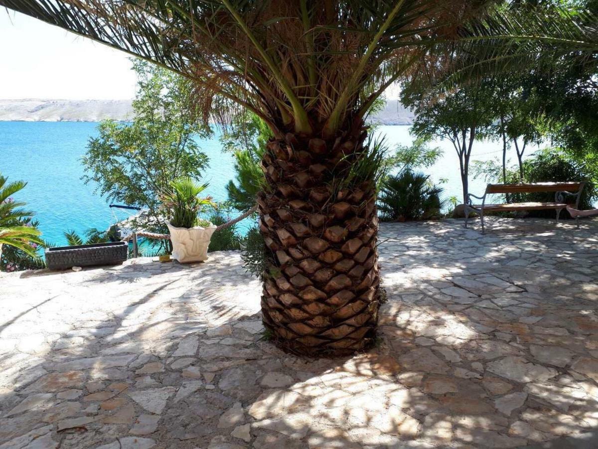 Apartments Horvat On Island Pag Влашичи Экстерьер фото